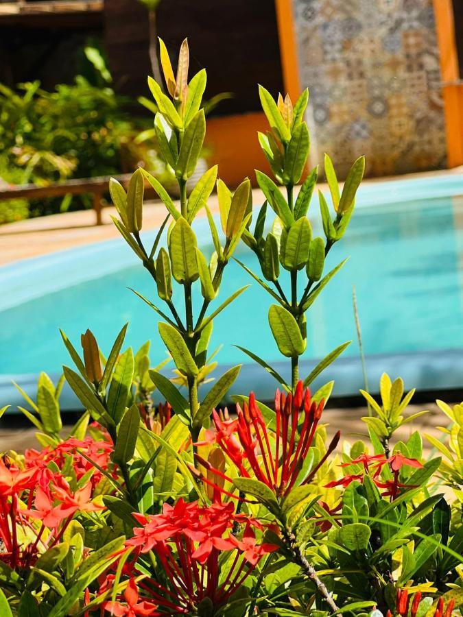 A Casa Do Sol Apartment Barra Grande  Exterior foto